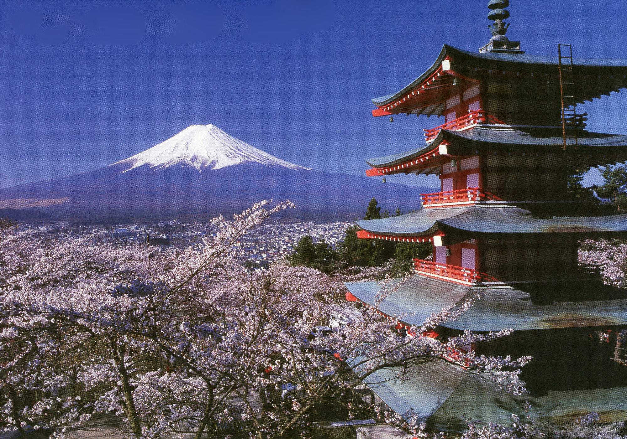 Mt Fuji Hostel Michael'S Фудзі-Йосіда Екстер'єр фото